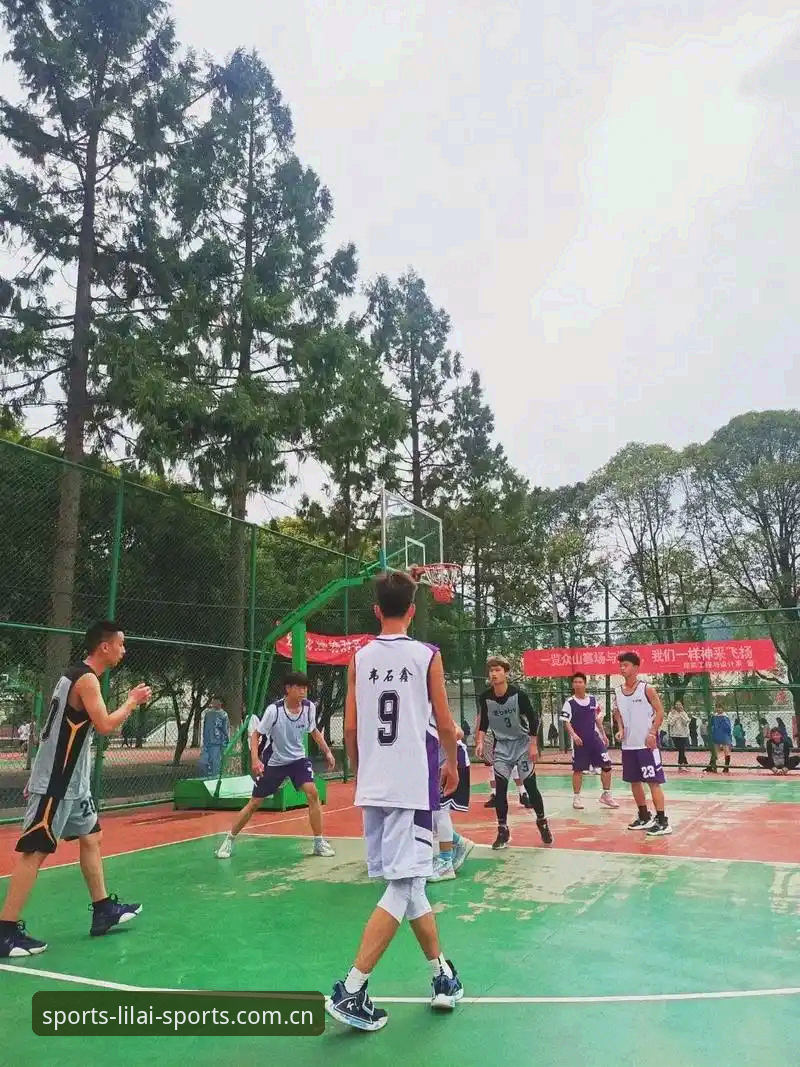 揭秘利来体育官网注册登录背后的高效竞技生态——你不知道的五大核心优势